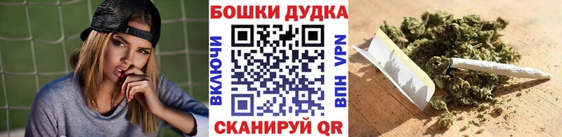 кракен онион  Каргополь  Каннабис семена 